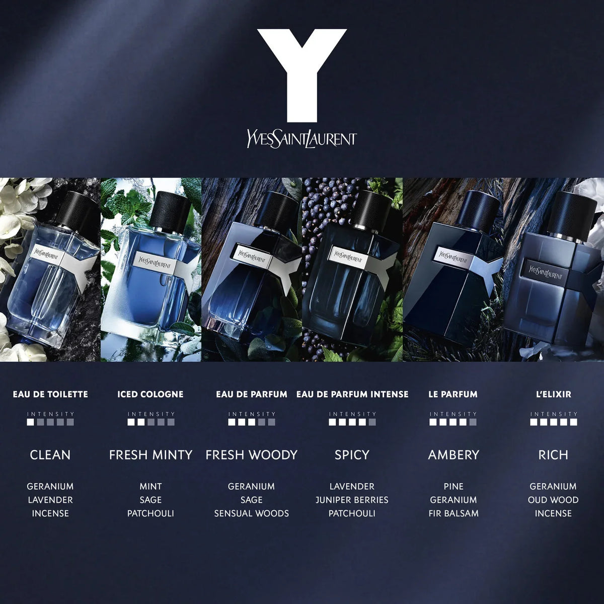 Yves Saint Laurant YSL Y Fragrance line